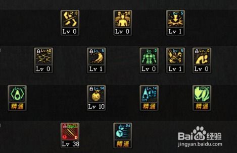 毒神刷图加点,轻松提升战力，畅享游戏乐趣