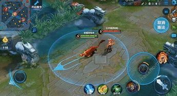 王者国服老虎出装,打造无敌战神