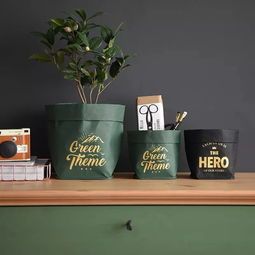 给生活加点料,让每一天都充满惊喜