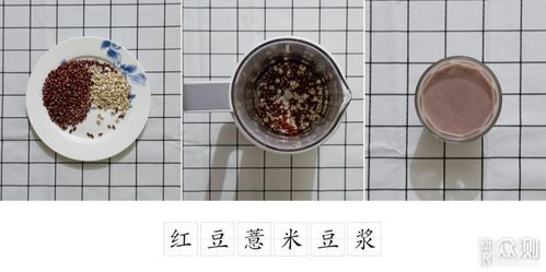 给生活加点料,让每一天都充满惊喜