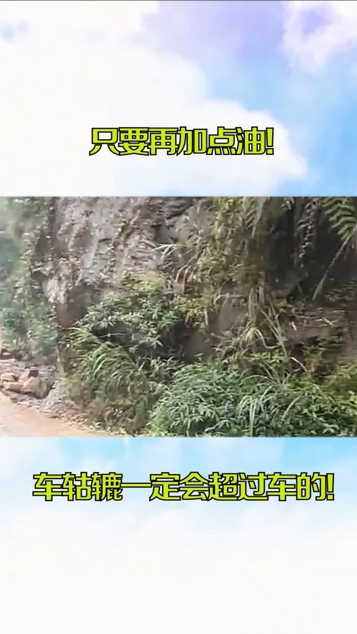 只要加点油,焕发无限活力 只要加点油,焕发无限活力