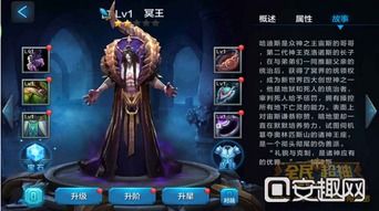 冥王顶级出装,打造最强王者之路