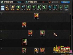 奇袭者加点,解锁战斗潜能,成就战场霸主 奇袭者加点,解锁战斗潜能,成就战场霸主