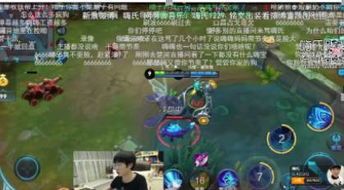 嗨氏庄周出装,打造最强辅助王者