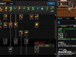 统御者刷图加点,打造高效战力，轻松征服副本