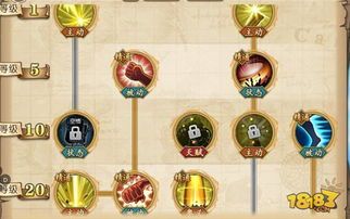 黄猿光速踢加点,速度与激情的极致演绎