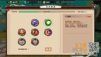 寻仙 奇门 加点,探寻神秘仙途，解锁奇门秘术