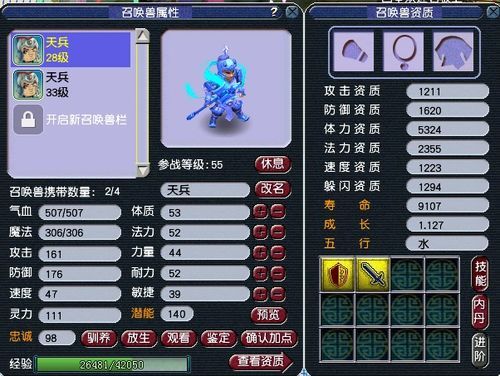 天兵怎么加点,打造无敌战神之路