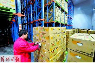 洛阳加点,揭秘历史名城魅力