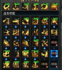 dnf黑暗武士加点,力量与黑暗的完美融合