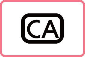 ca加点,构建未来智能时代的基石