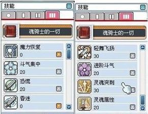 冒险岛属性加点,属性加点攻略，解锁冒险岛最强战斗力