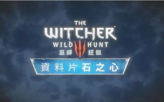 黑桐谷歌巫师3加点,巫师加点攻略,解锁最强战力 黑桐谷歌巫师3加点,巫师加点攻略,解锁最强战力