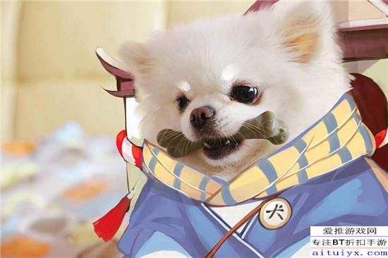 平安京犬神半肉出装