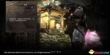 仁王体加点,探寻东方武侠的神秘魅力