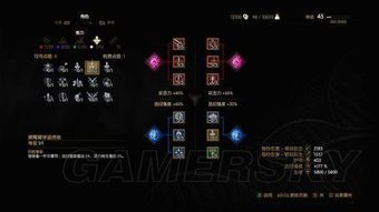 巫师三狼派加点