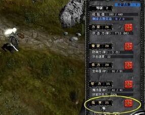 奇迹私服圣导师加点,打造无敌战神之路