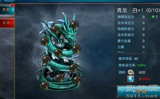 御龙在天羽扇怎么加点,打造最强羽扇