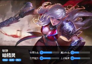 之刃暗精灵出装,黑暗之力下的装备攻略解析