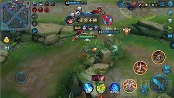 不打野的李元芳出装,战场奇兵，独领风骚