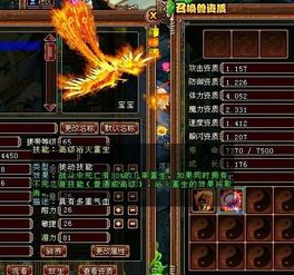 凤凰加点,探寻凤凰加点背后的传奇故事