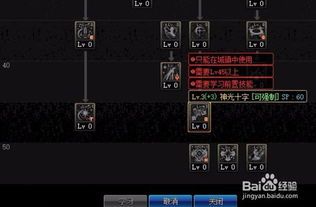 圣骑士加点新版,力量与荣耀的完美融合