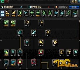 圣骑士加点新版,力量与荣耀的完美融合