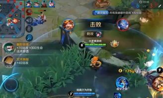 王者荣耀AD流沈梦溪出装,火力全开的爆炸输出之道