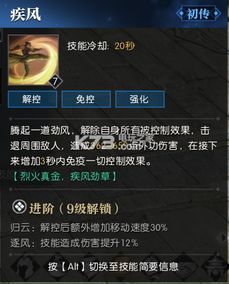 铁衣技能加点,打造无敌战士之路