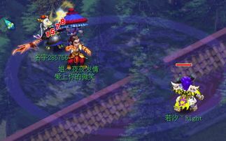 渡劫地府加点,生死轮回的神秘之旅