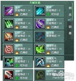 征途2s技能加点,打造无敌战神之路