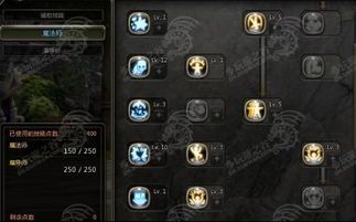 龙之谷刷图影加点,打造高效输出利器