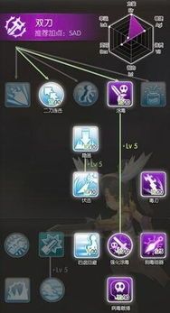 仙境ro刺客加点,剑走偏锋，独步江湖