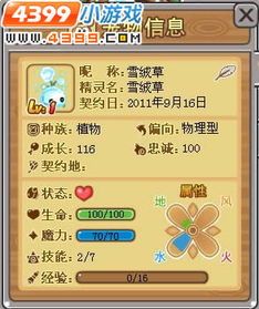 雪绒加点,探寻神秘雪域的美丽传说