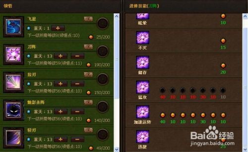 无瑕棍加点,神秘法器，加点秘术揭秘