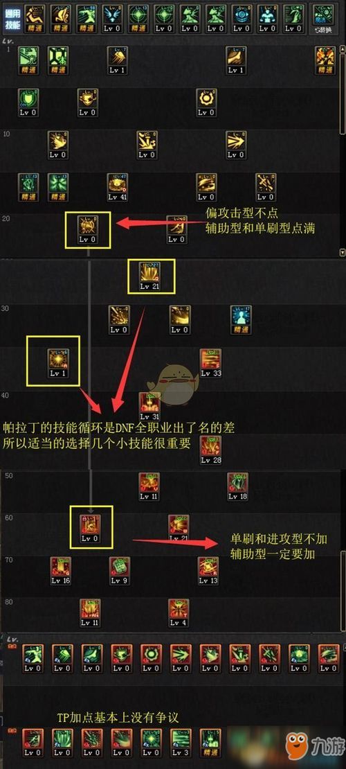 帕拉丁 加点,荣耀与荣耀的传奇之旅