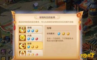 梦幻西游手游熊猫加点,打造无敌熊猫神兽