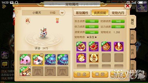 梦幻西游手游熊猫加点,打造无敌熊猫神兽