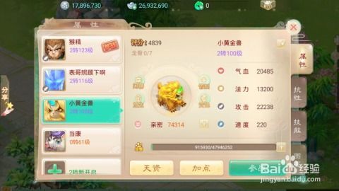 小黄金兽 加点,探寻神秘生物的奇幻之旅