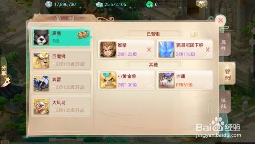 小黄金兽 加点,探寻神秘生物的奇幻之旅