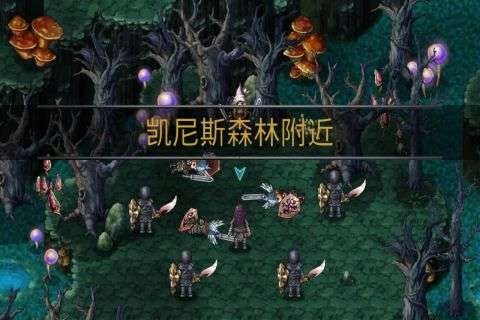 命运之石加点,揭开命运的神秘面纱