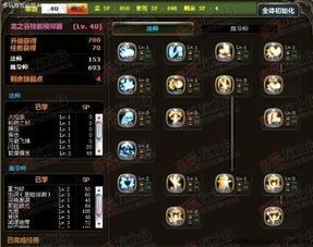 龙之谷魔导师加点图,打造无敌法师之路