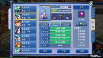 神武手游九尾狐狸加点,灵动妖狐，加点秘籍大揭秘