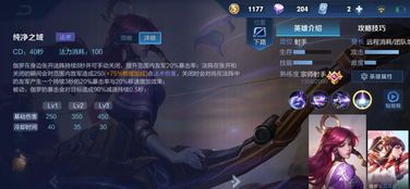 伽罗中单出装,揭秘中单出装攻略