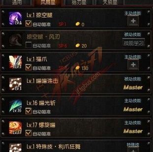 风舞星加点图,技能搭配与属性提升攻略 风舞星加点图,技能搭配与属性提升攻略