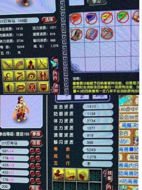 系统豹子出装,打造无敌战神