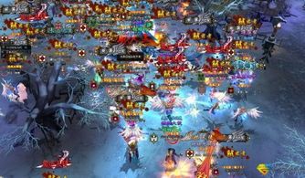 九刃2加点,剑指巅峰，加点攻略揭秘