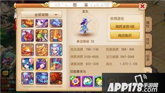 梦幻西游龙女怎么加点,打造无敌龙女，战力飙升！