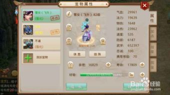 白果儿怎么加点,养生美食新主张