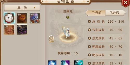 白果儿怎么加点,养生美食新主张